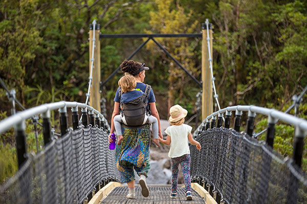 Family walking over a bridge